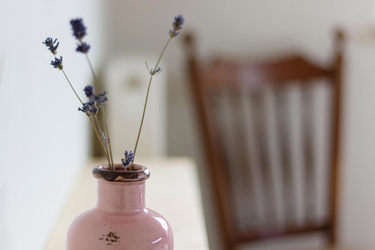 Op D'N Stolberg Bed and Breakfast Weert Buitenkant foto