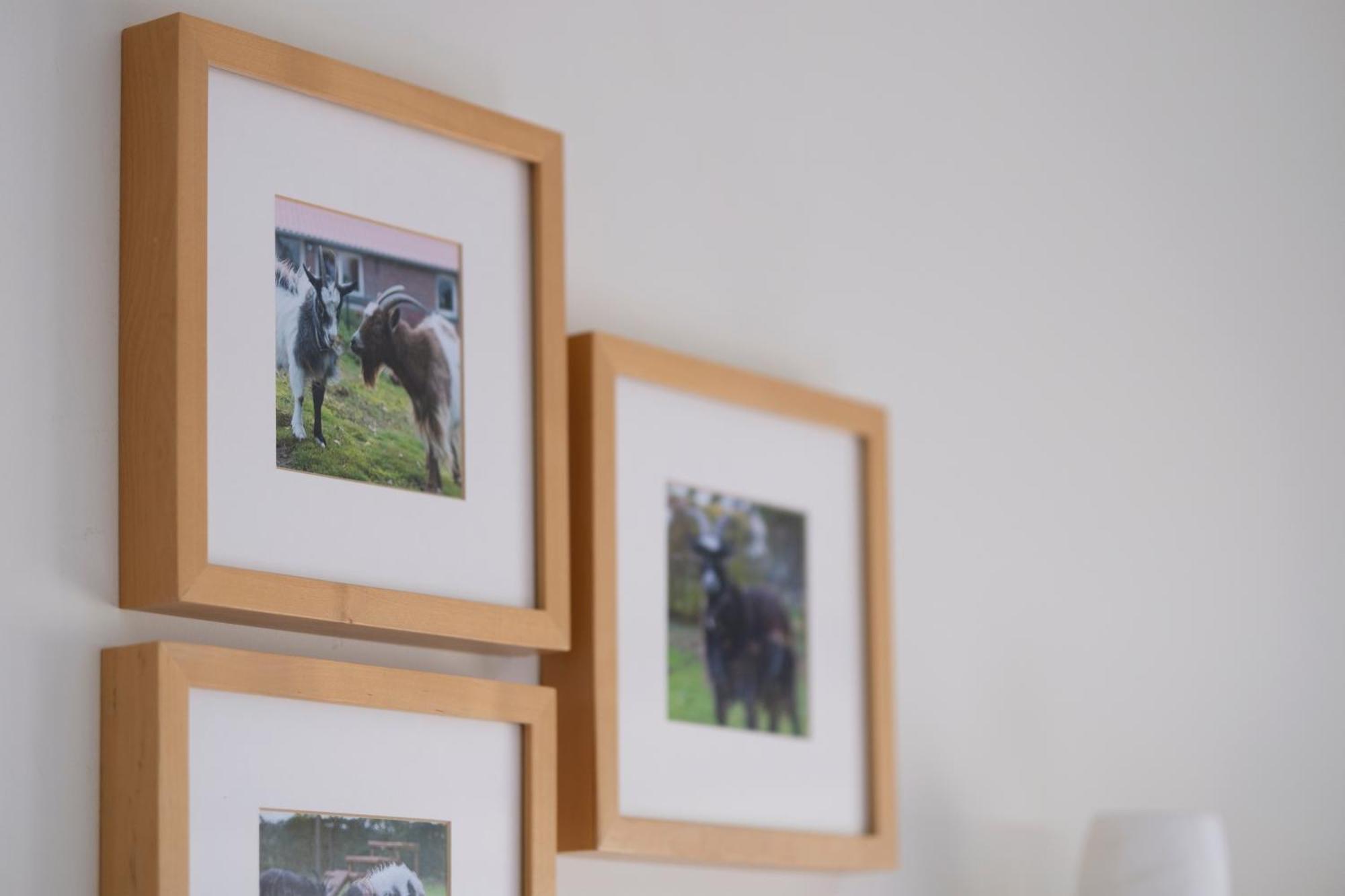 Op D'N Stolberg Bed and Breakfast Weert Buitenkant foto